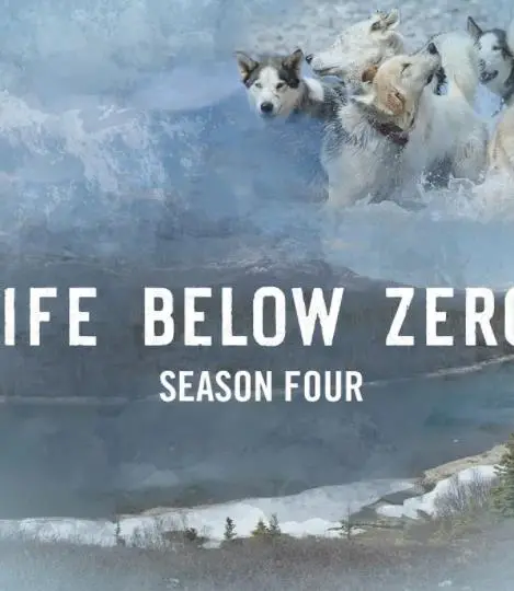 《零度以下的生活第四季》：冰天雪地里的生存挑战，比恐怖片更刺激的人性考验！