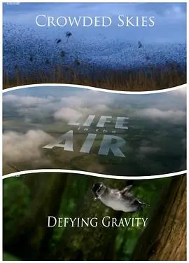 《空中生灵》：悬疑迷必看！当“未解决之女”遇上犀利“律师”，一场关于真相的空中交锋！